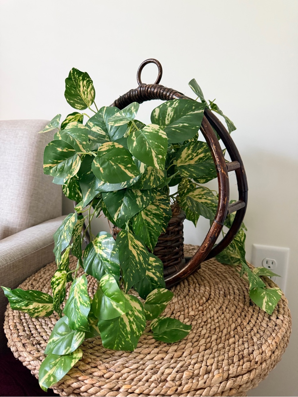 Variegated Green Pothos Hanging Basket - Decorative Home Accent